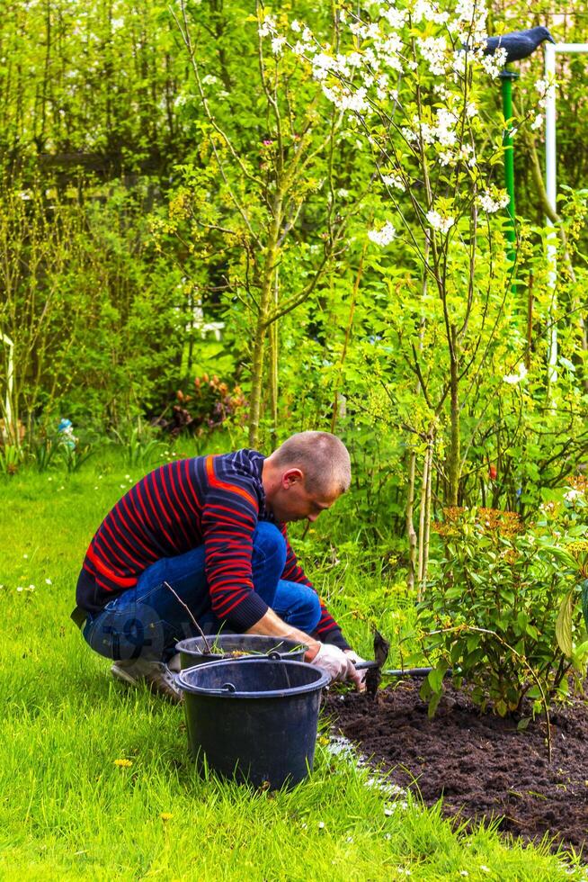 jung Mann Arbeiten im das Garten Betten im Deutschland. foto