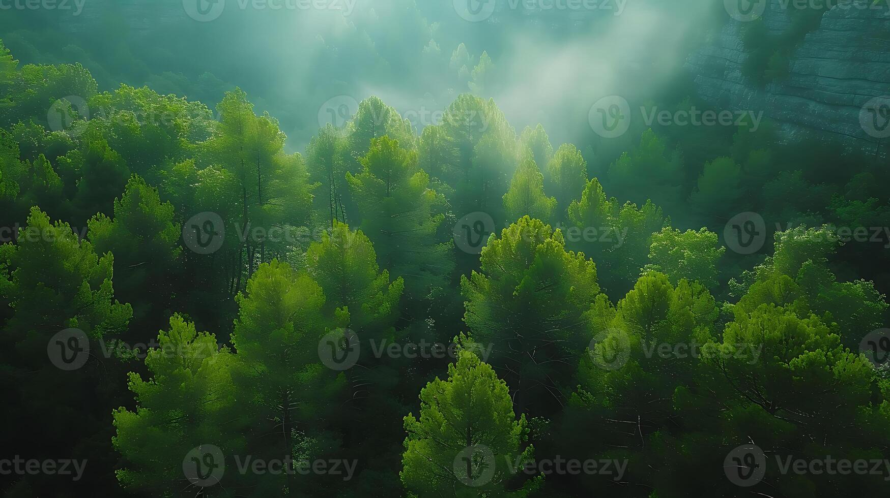 ai generiert durch das Nebel Über ein Wald schön natürlich Szene Drohne Aussicht foto