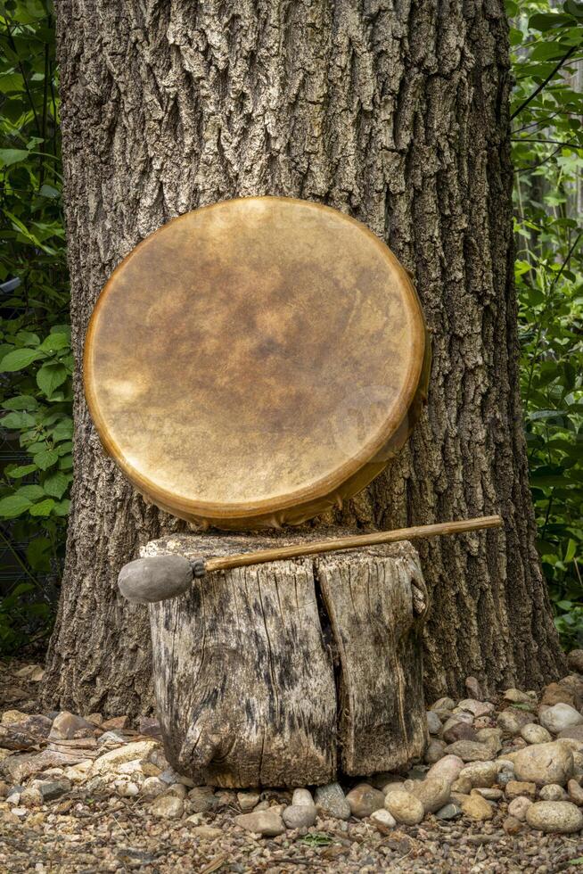 handgefertigt, einheimisch amerikanisch Stil, Schamane Rahmen Trommel bedeckt durch Ziege Haut mit ein Schläger unter ein Eiche Baum foto