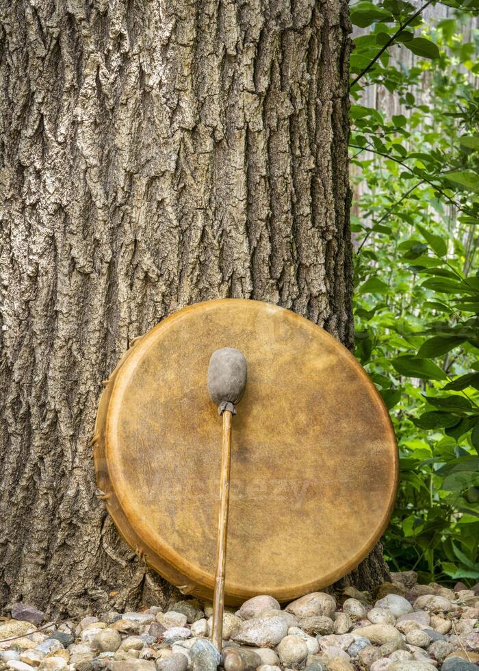 handgefertigt, einheimisch amerikanisch Stil, Schamane Rahmen Trommel bedeckt durch Ziege Haut mit ein Schläger unter ein Eiche Baum foto