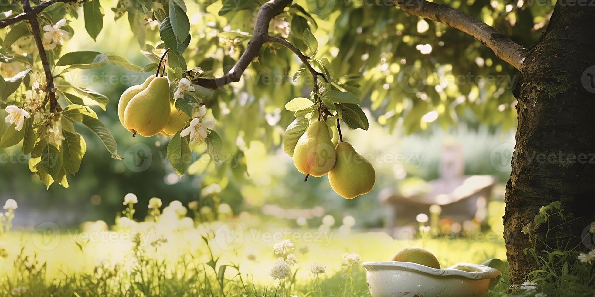 ai generiert reif Süss Birnen wachsend auf ein Birne Baum im das Garten. Nahansicht von Birnen und Birne Bäume im Sonnenlicht foto