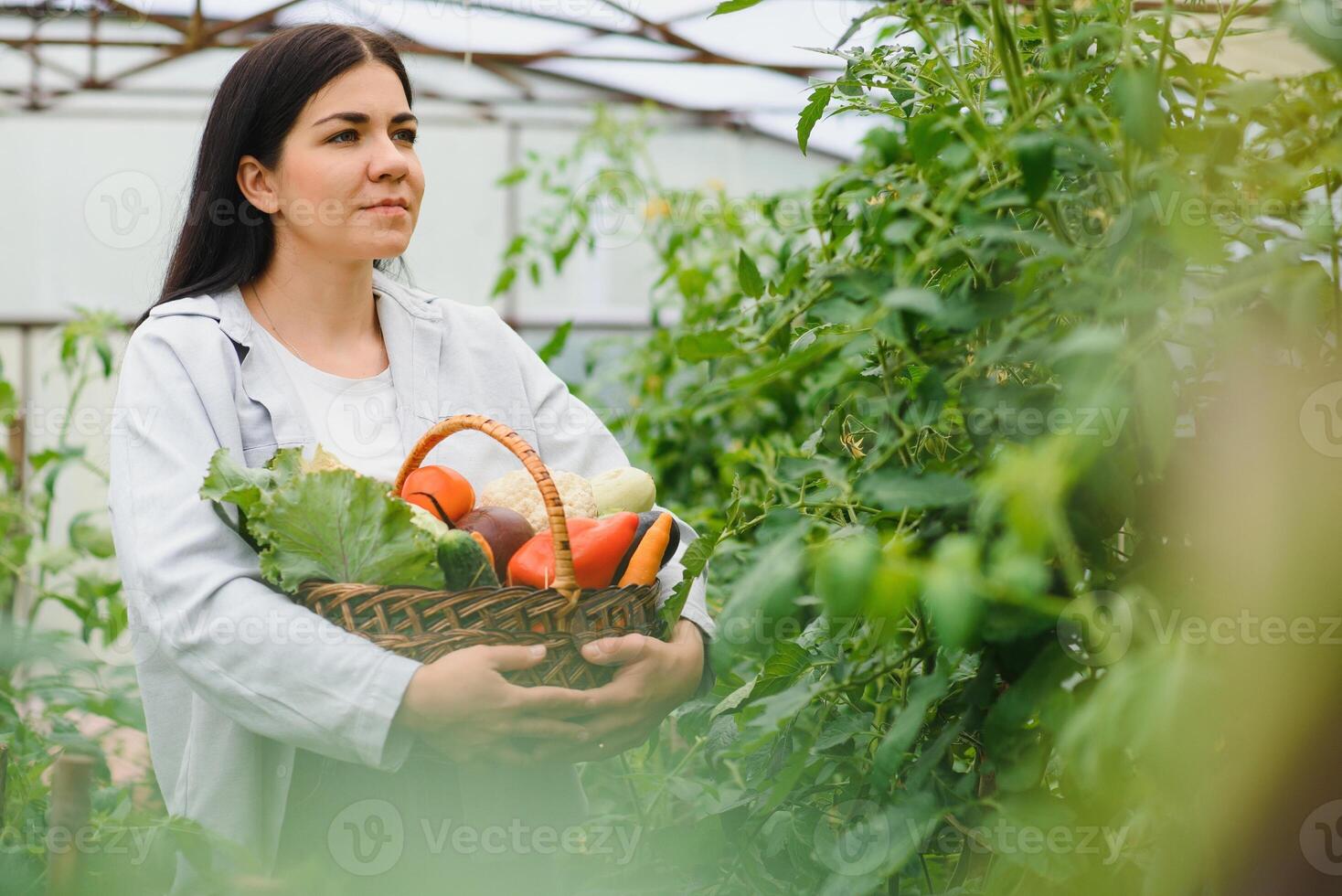 Gartenarbeit und Landwirtschaft Konzept. jung Frau Bauernhof Arbeiter mit Korb pflücken frisch reif organisch Gemüse. Gewächshaus produzieren. Gemüse Essen Produktion. foto