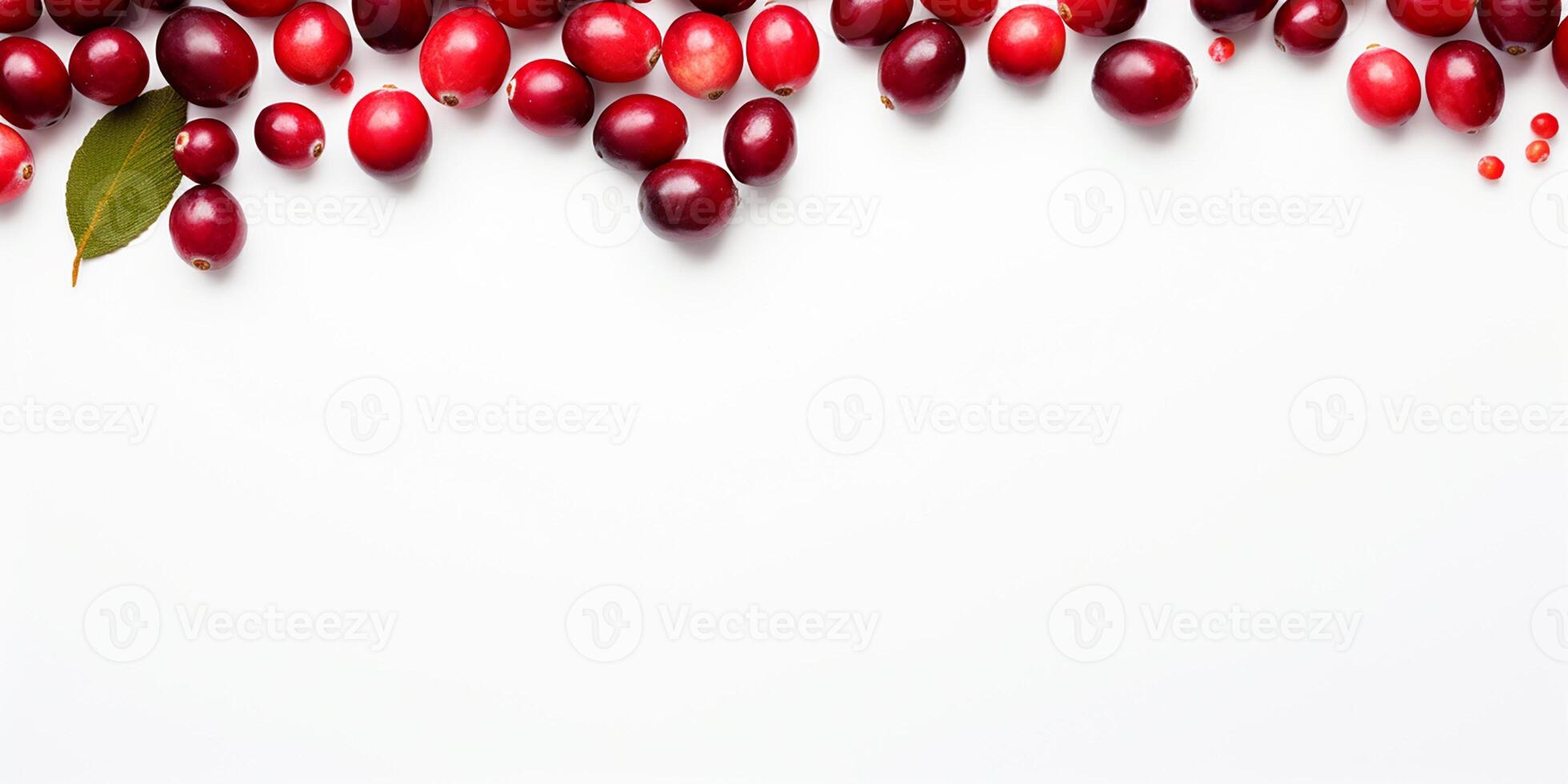 ai generiert Rahmen mit frisch Preiselbeeren auf ein Weiß Hintergrund mit Raum zum Text foto