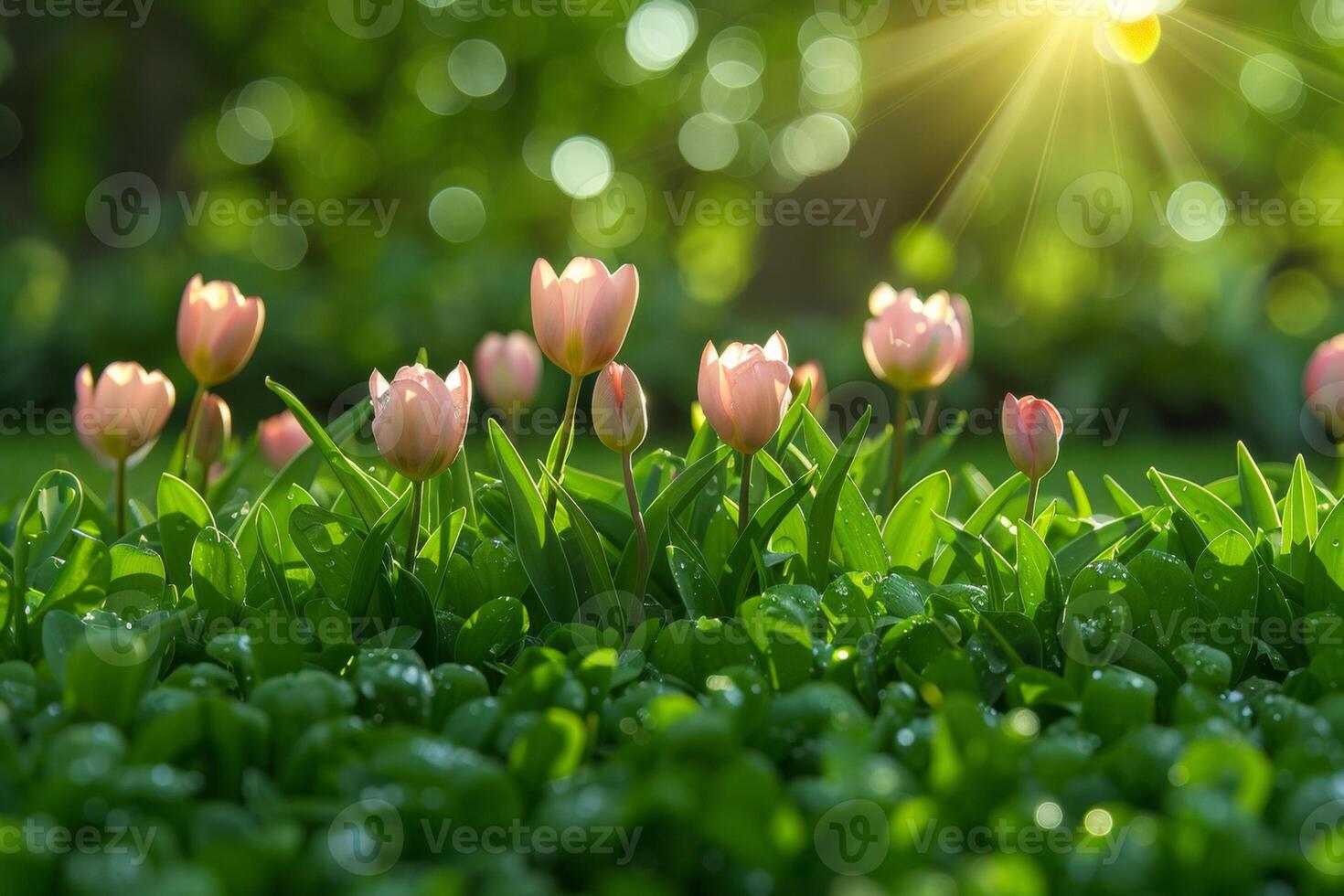 ai generiert üppig Blumen- Szenen präsentieren ein Vielfalt von Blüten im weich, strahlend Licht mit ein Bokeh Hintergrund foto