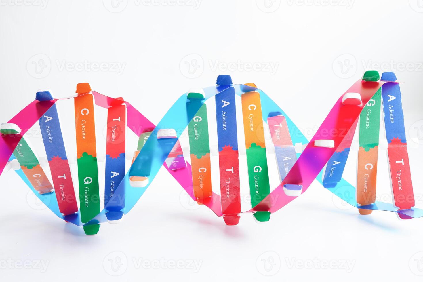 DNA Molekül Spiral- Struktur Modell- isoliert auf Weiß Hintergrund, Chromosom und Gen chemisch Wissenschaft Biologie. foto