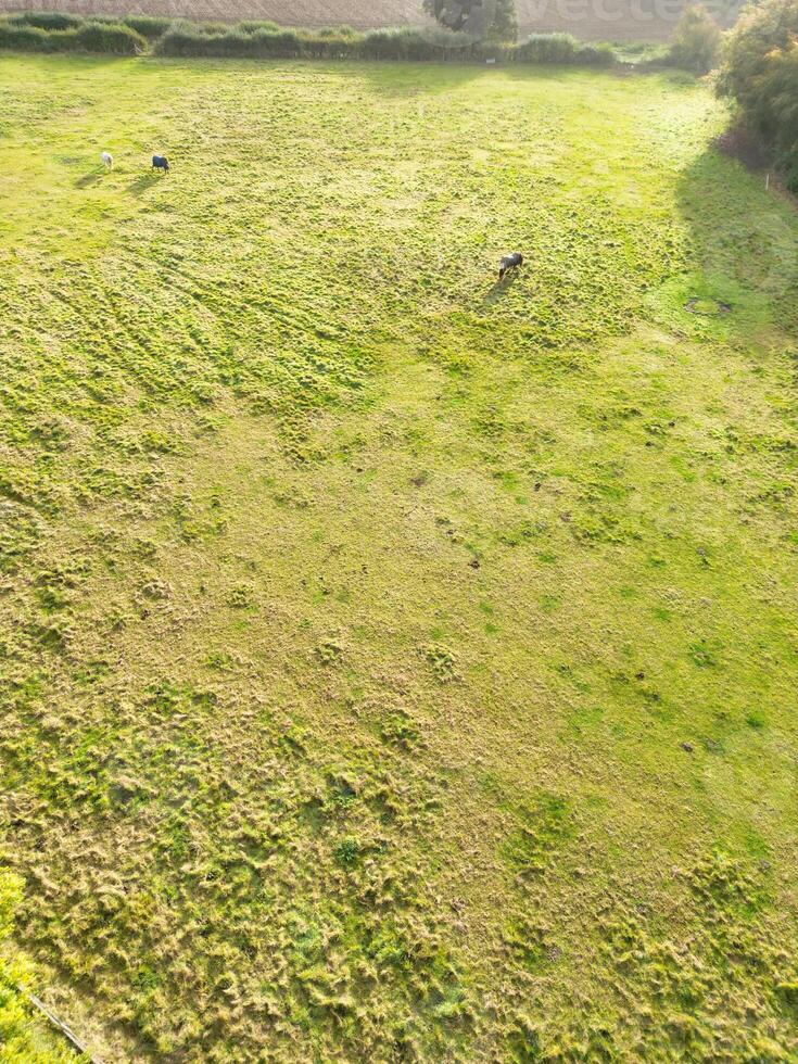 hoch Winkel Aussicht von britisch Landschaft Landschaft beim hitchin Stadt von England Vereinigtes Königreich foto