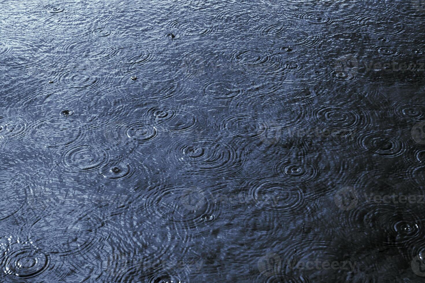 Regentropfen und fallen Kreise auf das See oder Pfütze. Wetter Prognose Konzept Foto