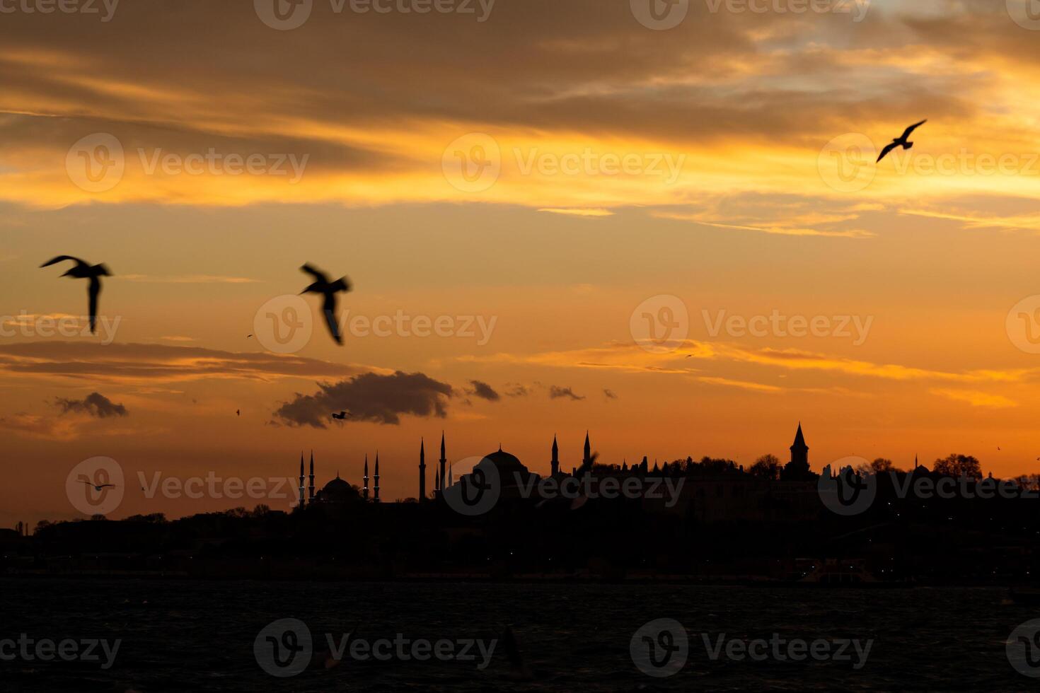 Istanbul Silhouette beim Sonnenuntergang. Möwen und Sehenswürdigkeiten von Istanbul foto