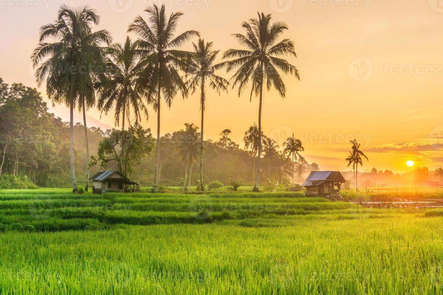 schön Morgen Aussicht von Indonesien von Berge und tropisch Wald foto