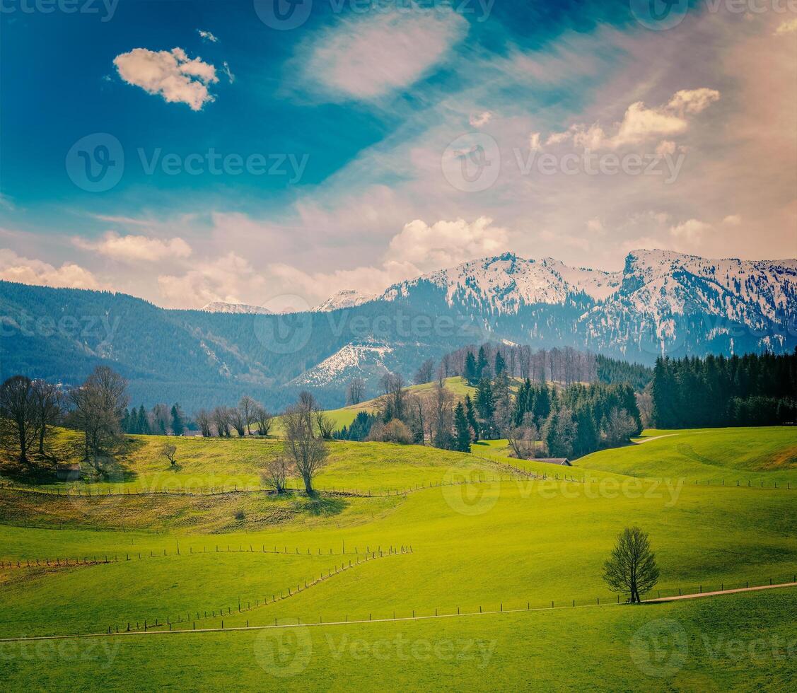 Deutsche idyllisch pastoral Landschaft im Frühling mit Alpen im zurück foto