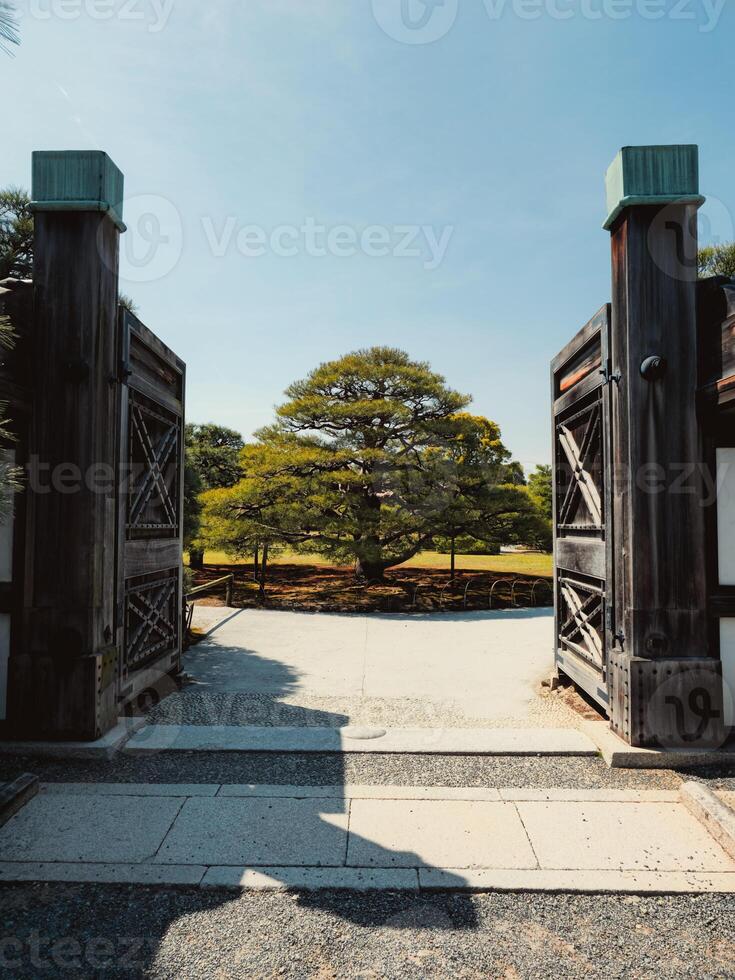 das Tore von Natur im Japan foto