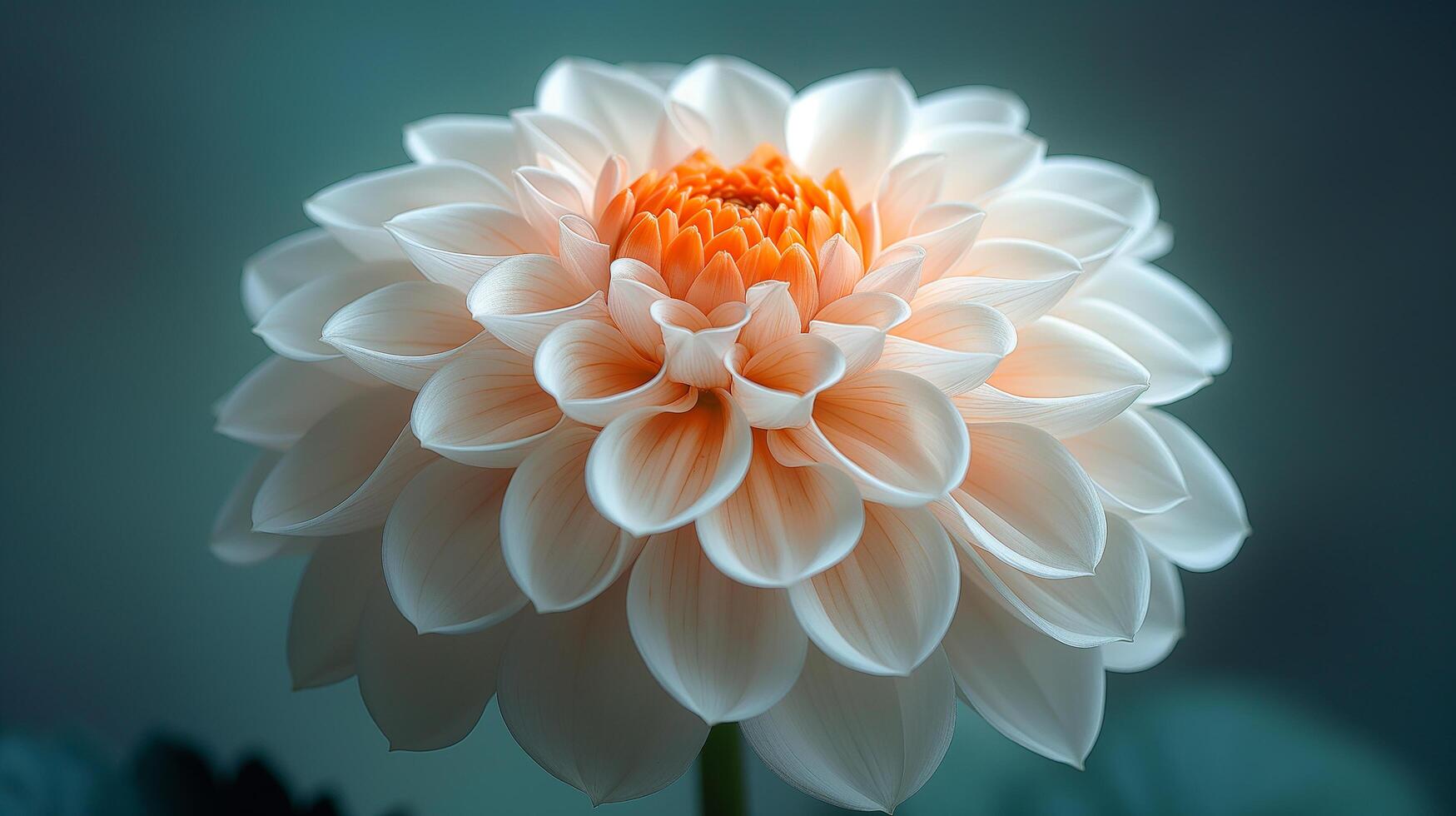 ai generiert Nahansicht von Orange und Weiß Dahlie Blume foto
