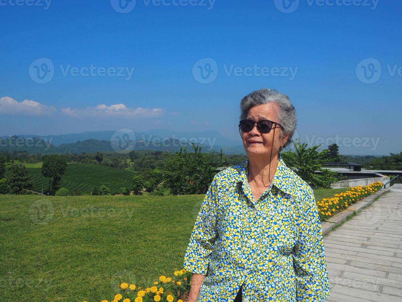 Senior Frau tragen Sonnenbrille, lächelnd und suchen beim das Kamera während Stehen im das Tee Plantage. Raum zum Text. Konzept von alt Menschen und Entspannung foto