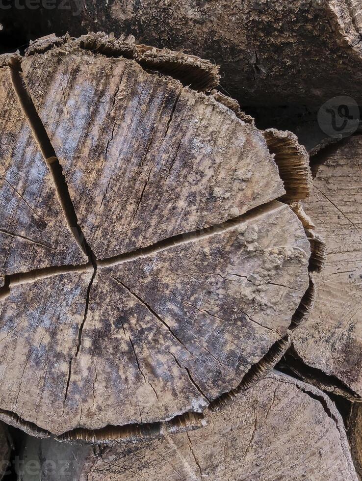 Textur von verwittert Holz schneidet, Hintergrund, Grunge foto