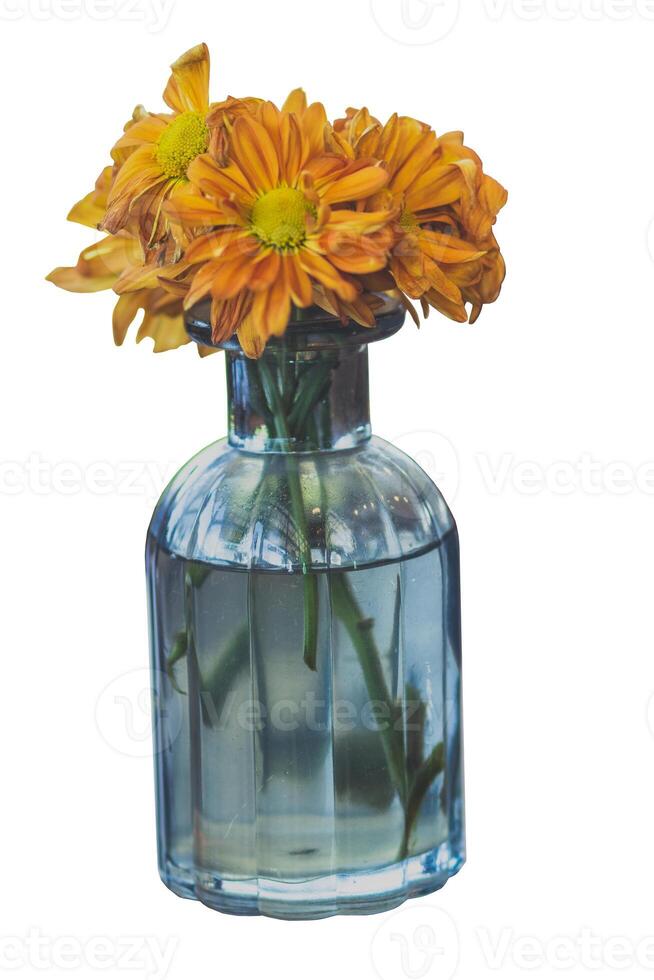 Vase mit Orange Blume im Tür foto