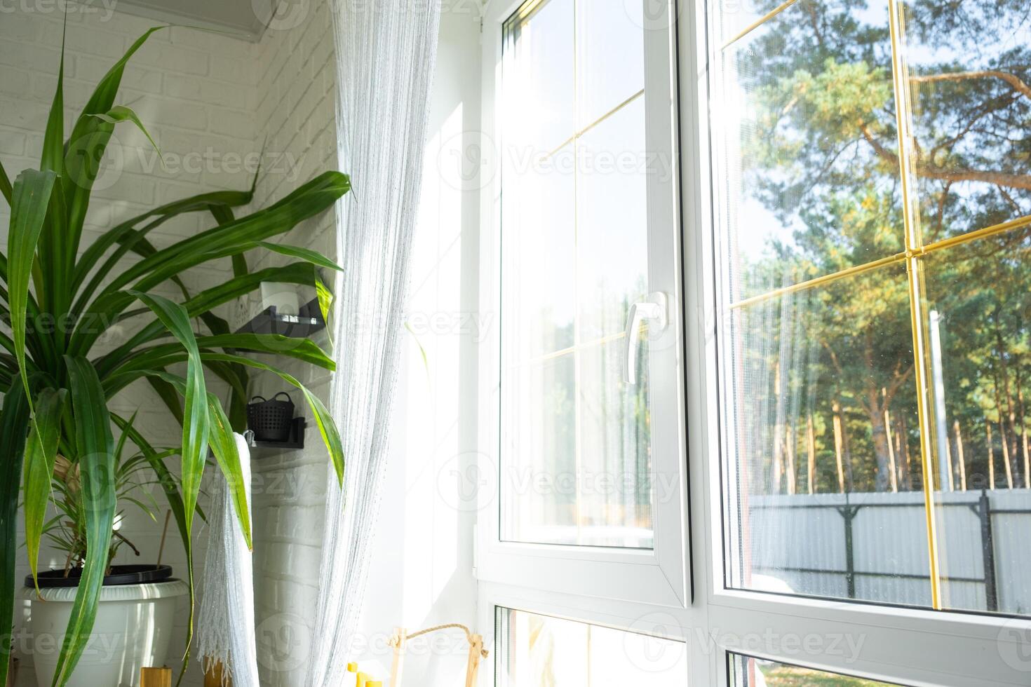 Fenster von Innerhalb das Haus Plastik doppelt verglast Fenster Aussicht draußen zu das sonnig Wald - - Innere Salon mit eingetopft Pflanzen, sauber Glas nach Reinigung Fenster, geschlossen Fenster foto
