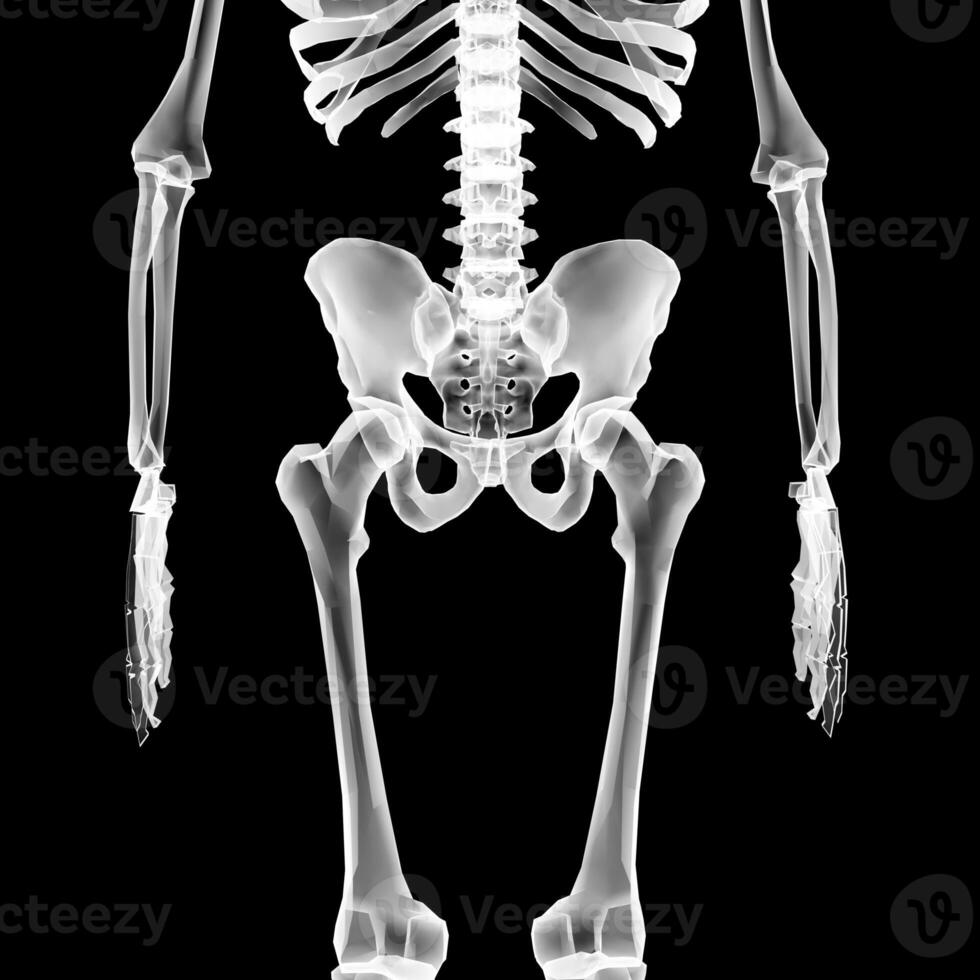 Röntgen Vision von das Mensch Körper und Knochen. foto