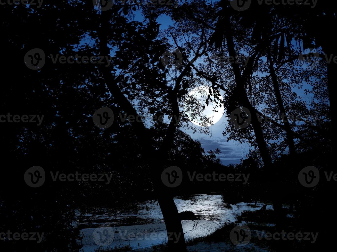 Nacht im Wald mit Mondschein und Fluss foto