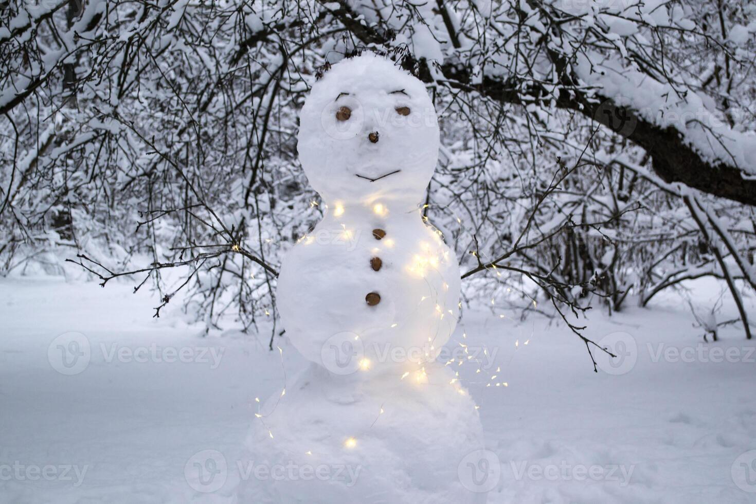 ein süß Schneemann im das Winter Park. foto