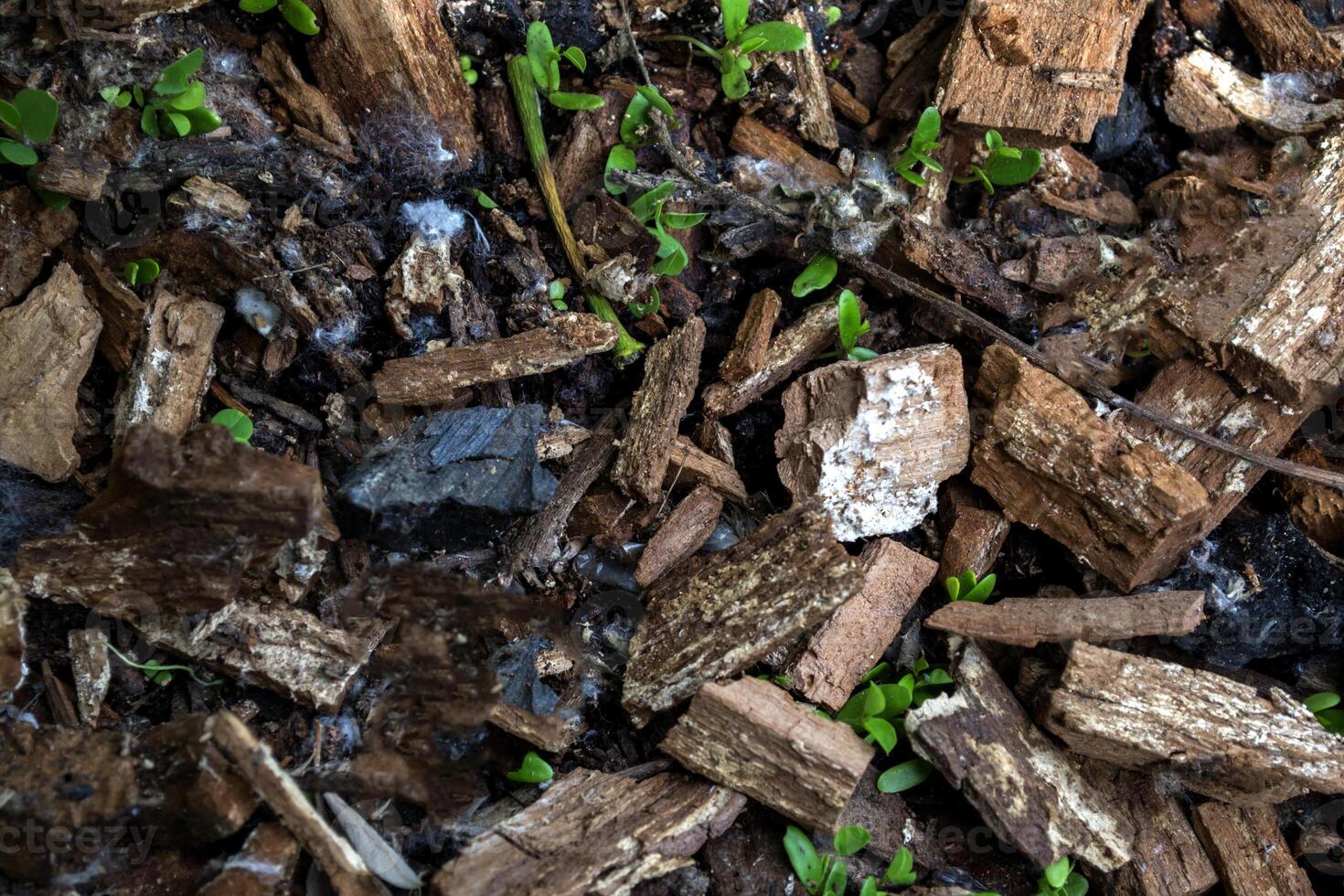 gebrochen Ziegel Textur. foto