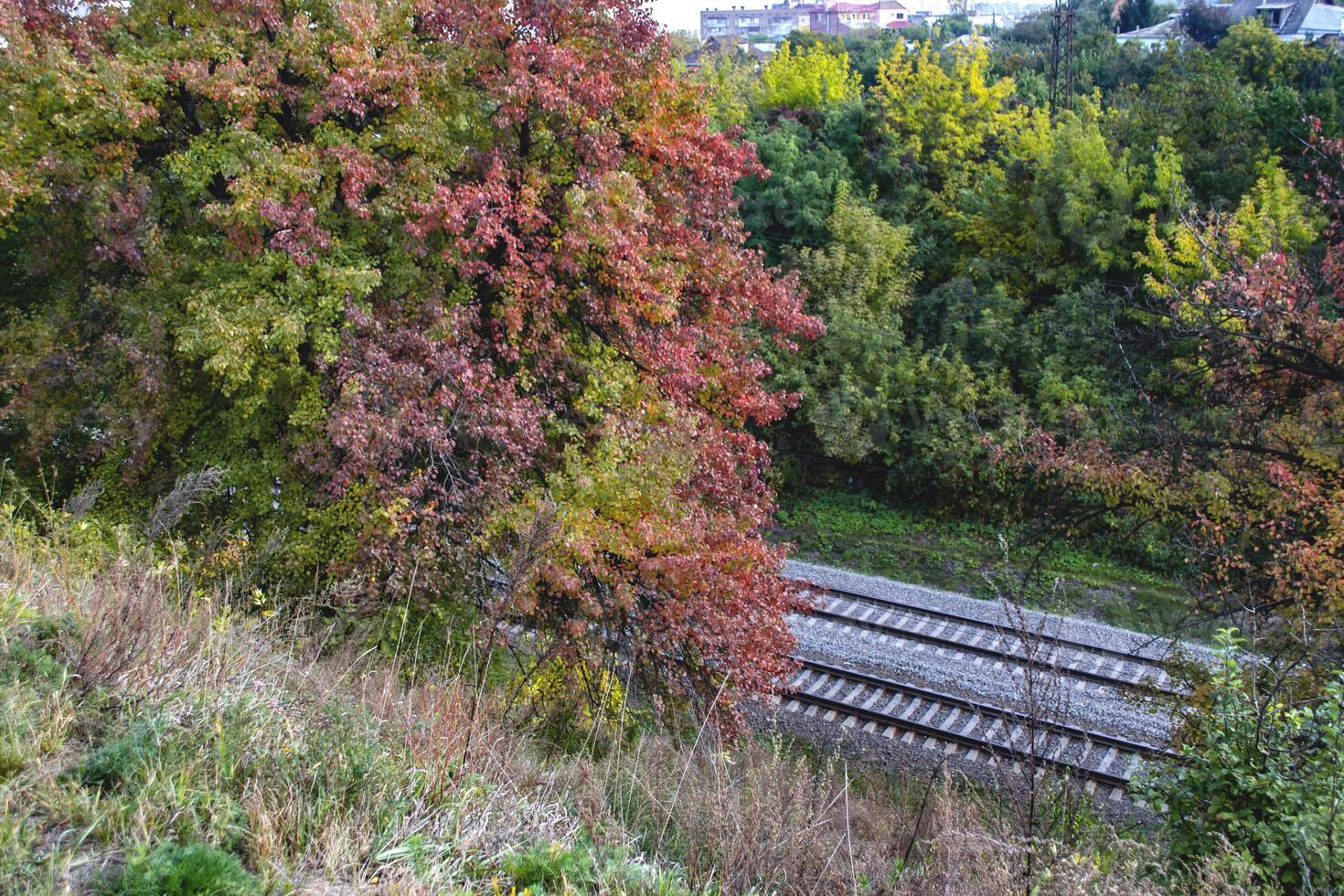 Eisenbahn und schön Herbst Baum. Herbst Landschaft. foto