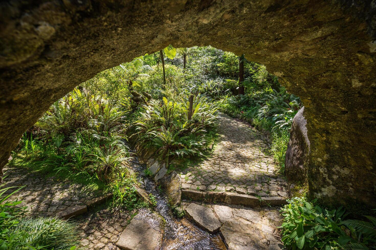 Garten von Eden Garten gelegen im Sintra, Portugal foto