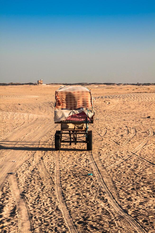 Beduinen führen Touristen auf Kamele beim kurz Tourist Tour um das Anfang damit namens Türen von Sahara Wüste foto