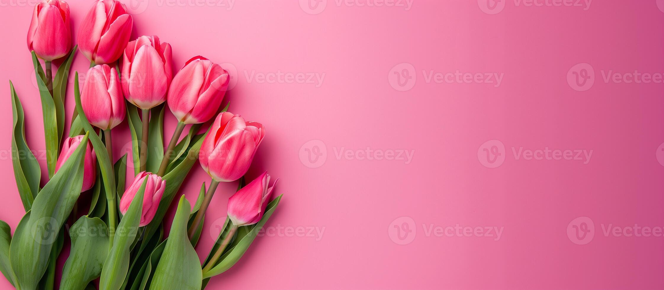 ai generiert Frühling Tulpe Blumen auf Rosa Hintergrund, Kopieren Raum foto