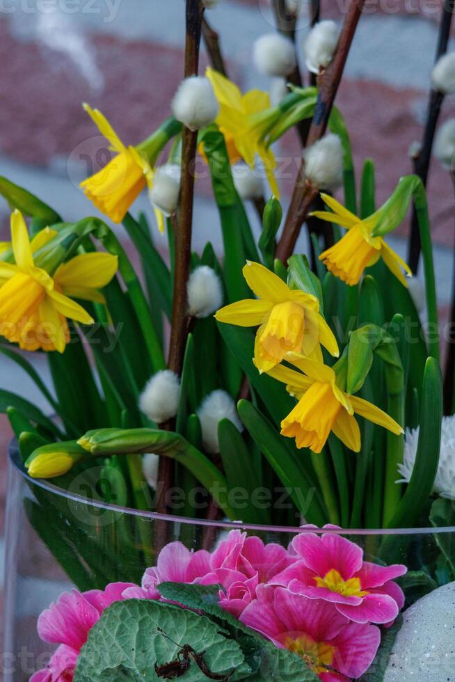 Frühlingszeit in Westfalen foto