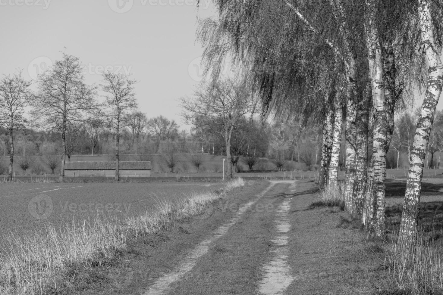 das kleine dorf weseke in westfalen foto