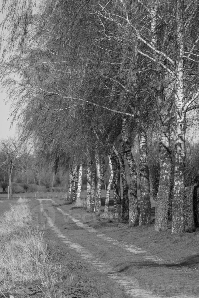 weske Dorf im Deutschland foto