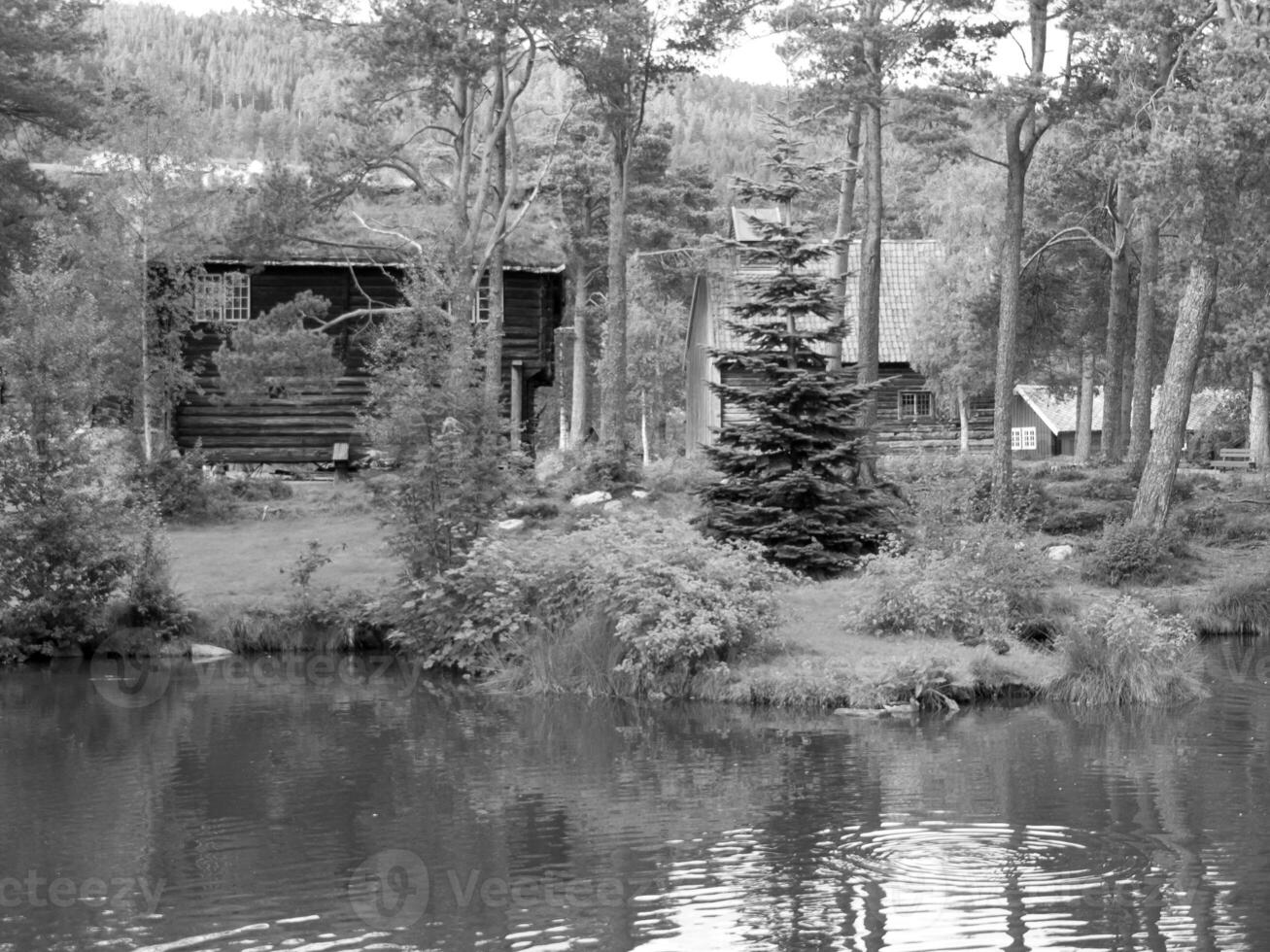 Schimmel in Norwegen foto