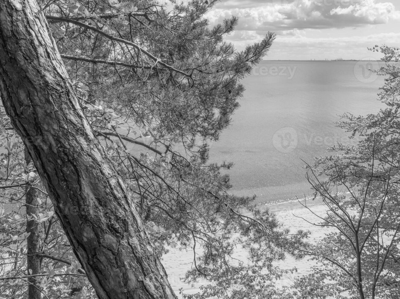 Strand im Polen foto