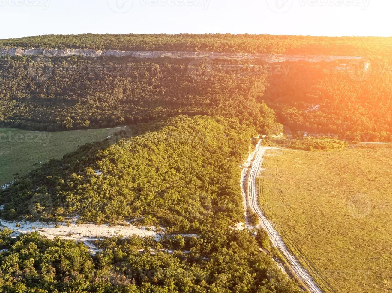 Antenne Aussicht auf Grün Weizen Feld, Straße und Hügel im Landschaft. Feld von Weizen weht im das Wind auf Sonnenuntergang. Ohren von Gerste Ernte im Natur. Agronomie, Industrie und Essen Produktion. foto