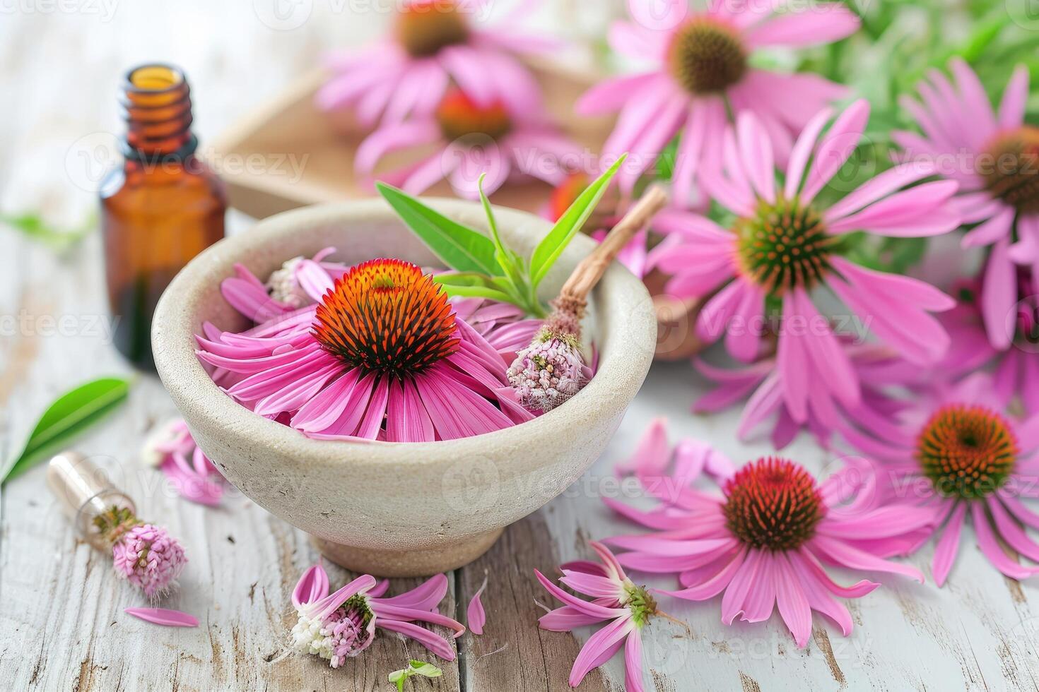 ai generiert Echinacea zum Homöopathie foto