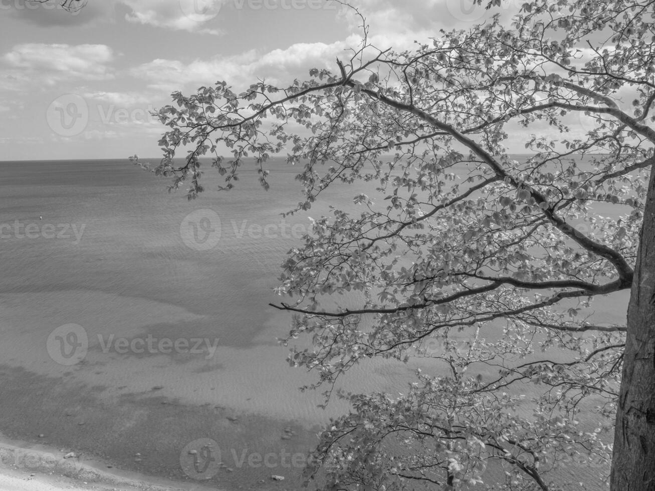 Zoppot im Polen foto