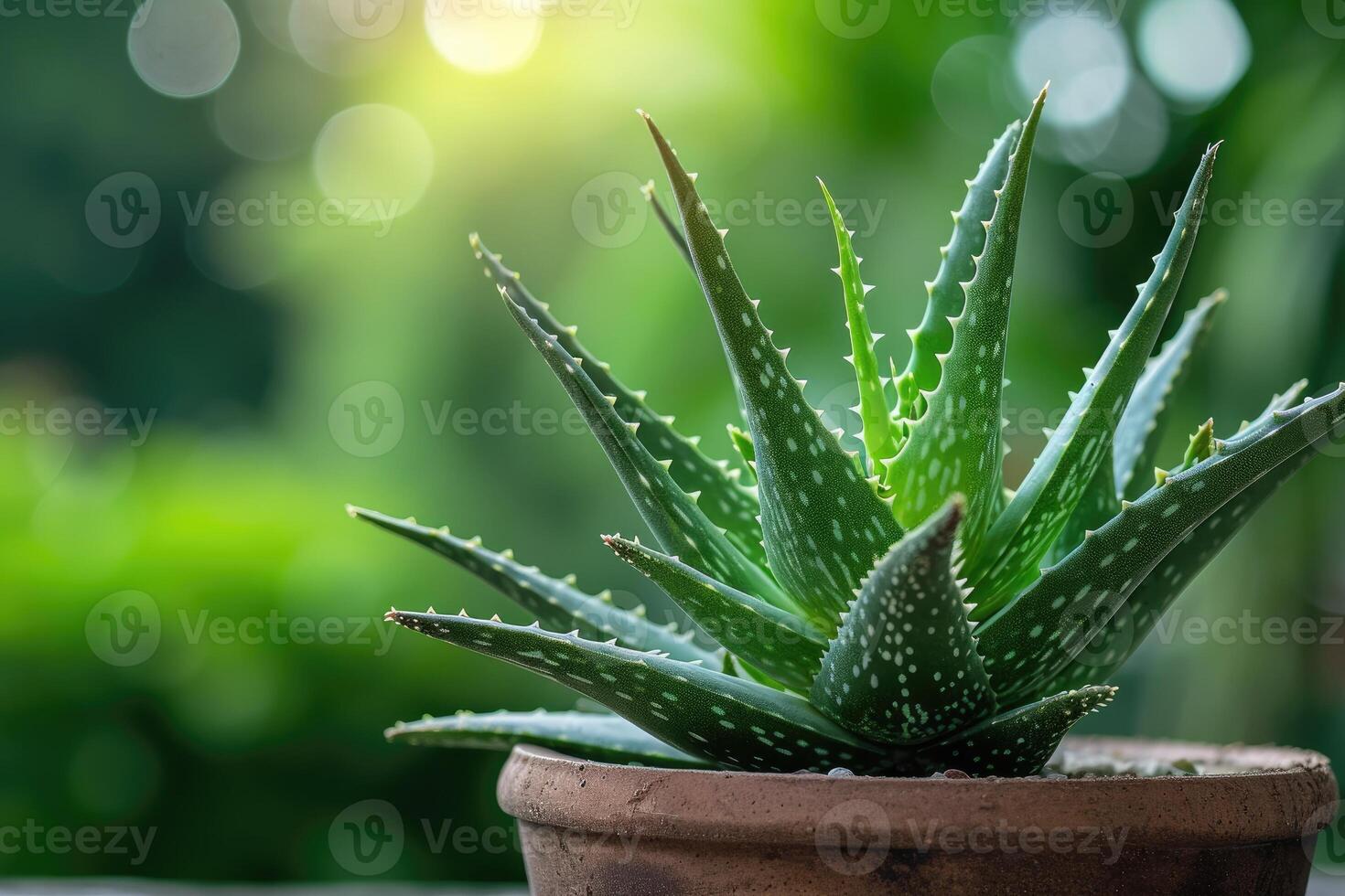 ai generiert Aloe vera Pflanze im ein Topf. foto