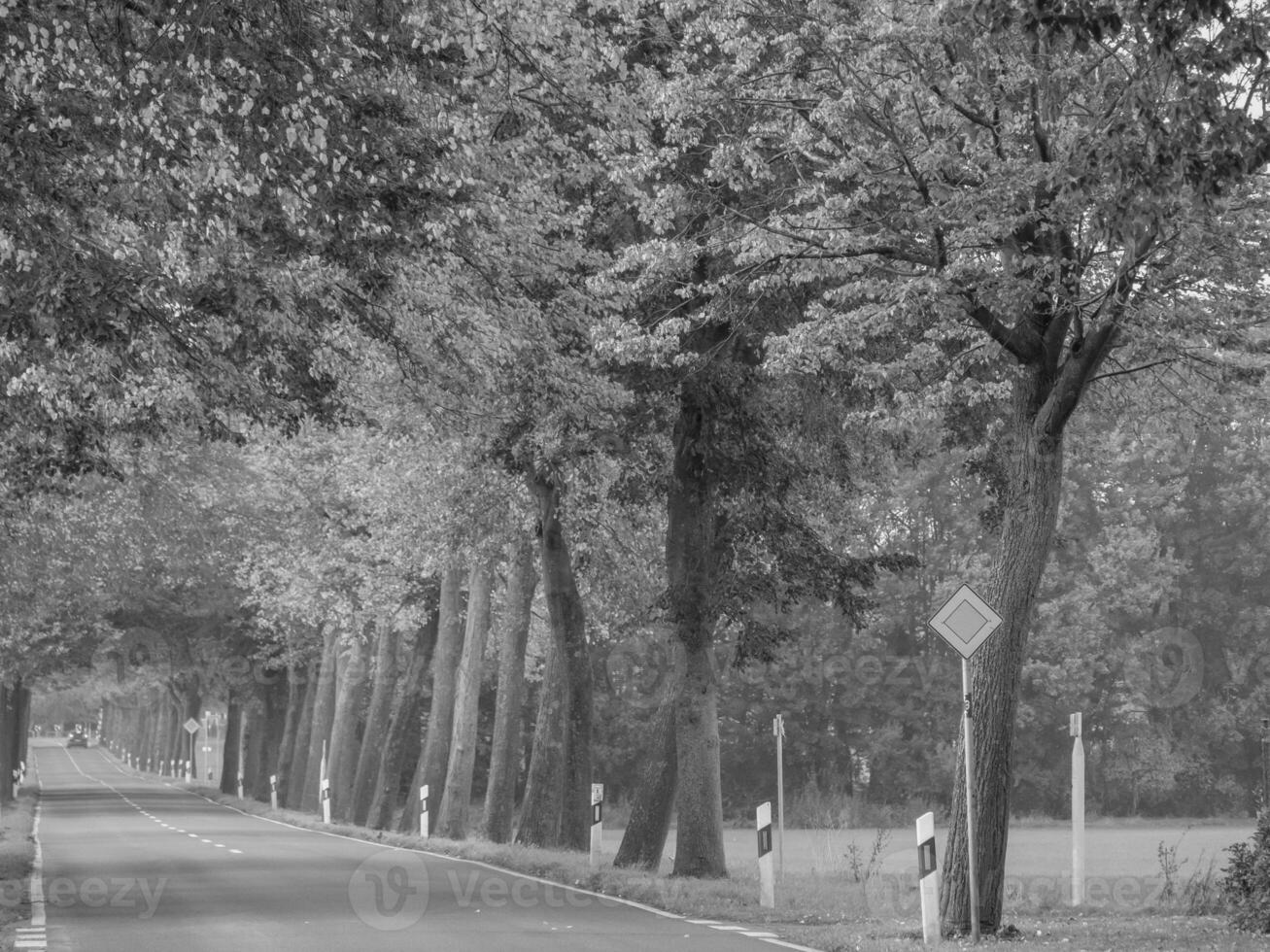 weske im Westfalen foto