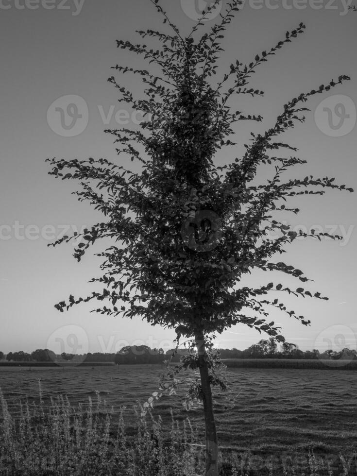 das deutsche münsterland foto