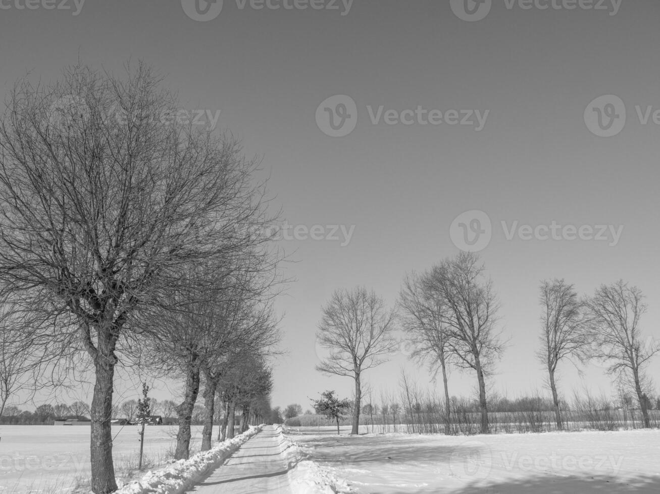 das deutsche münsterland foto