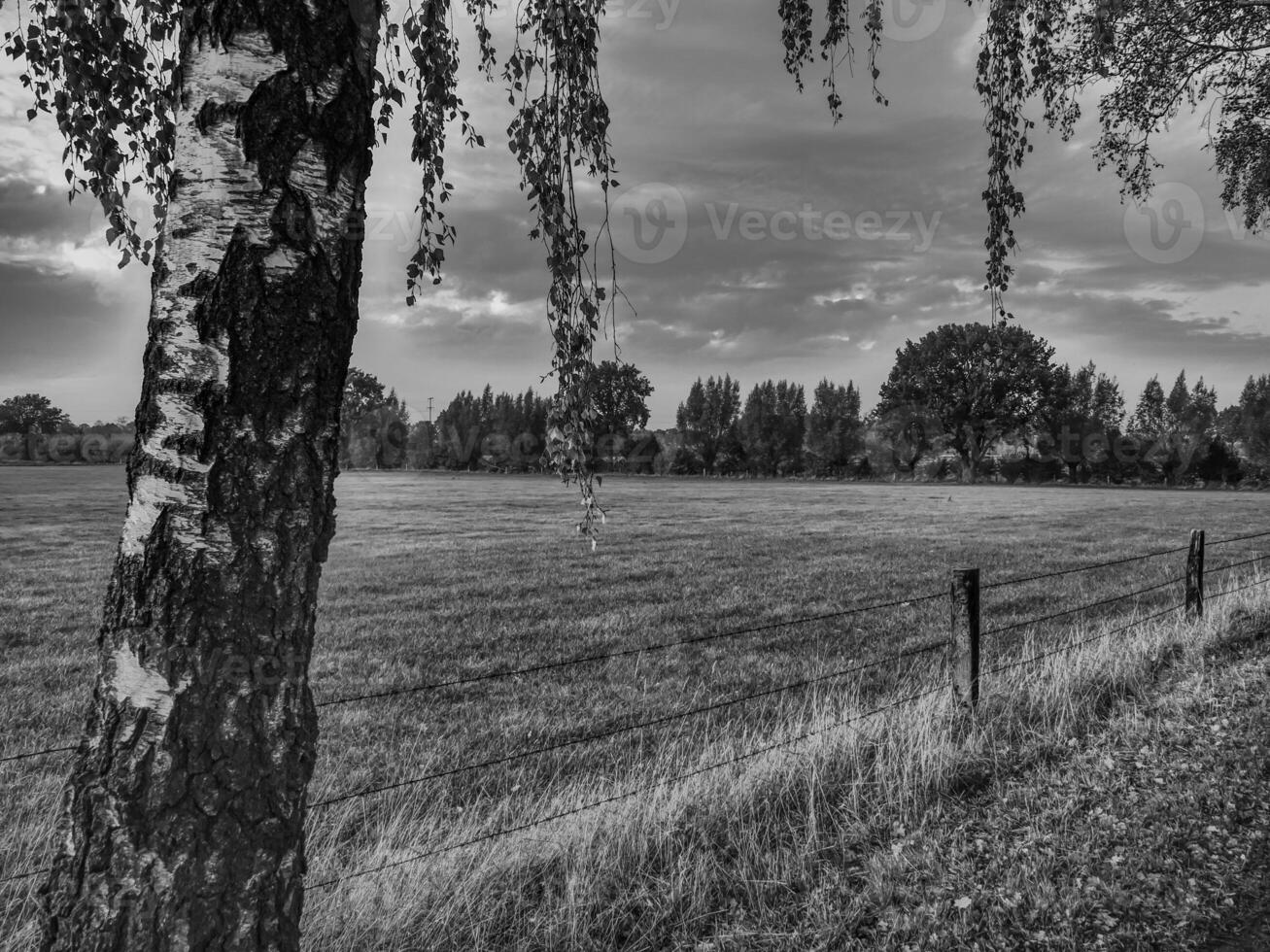 das deutsche münsterland foto