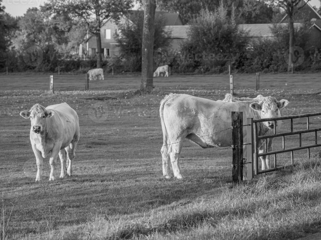 weske im Westfalen foto