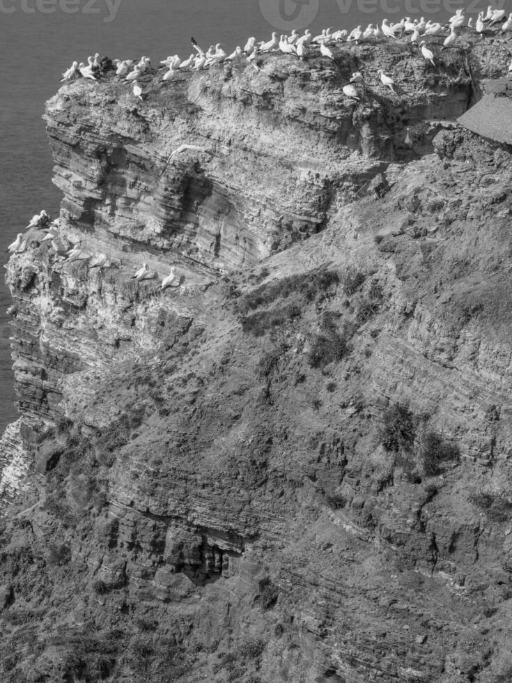 die insel helgoland foto