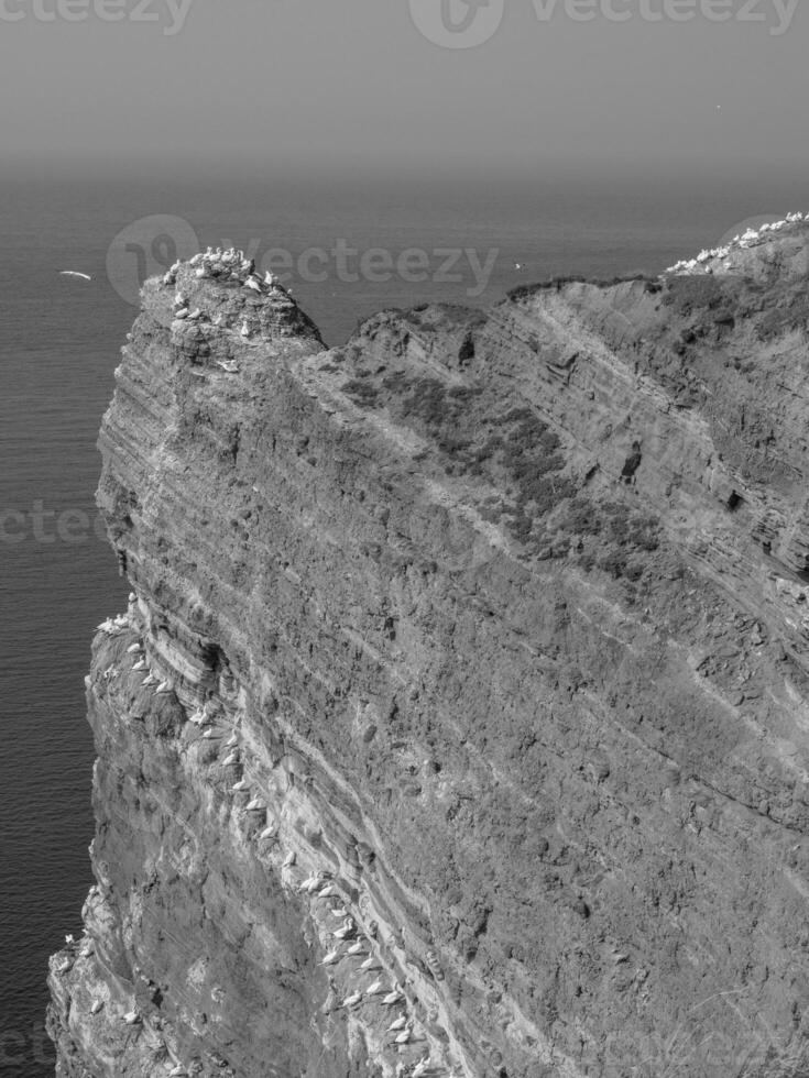 die insel helgoland foto