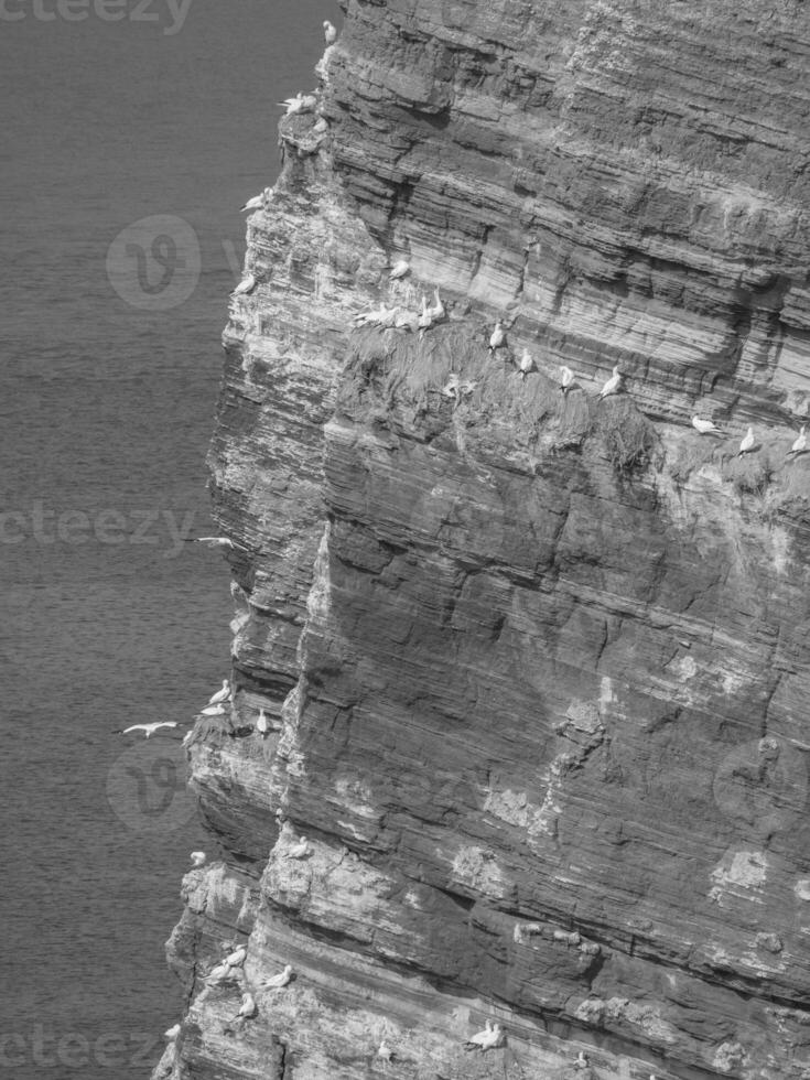 die insel helgoland foto