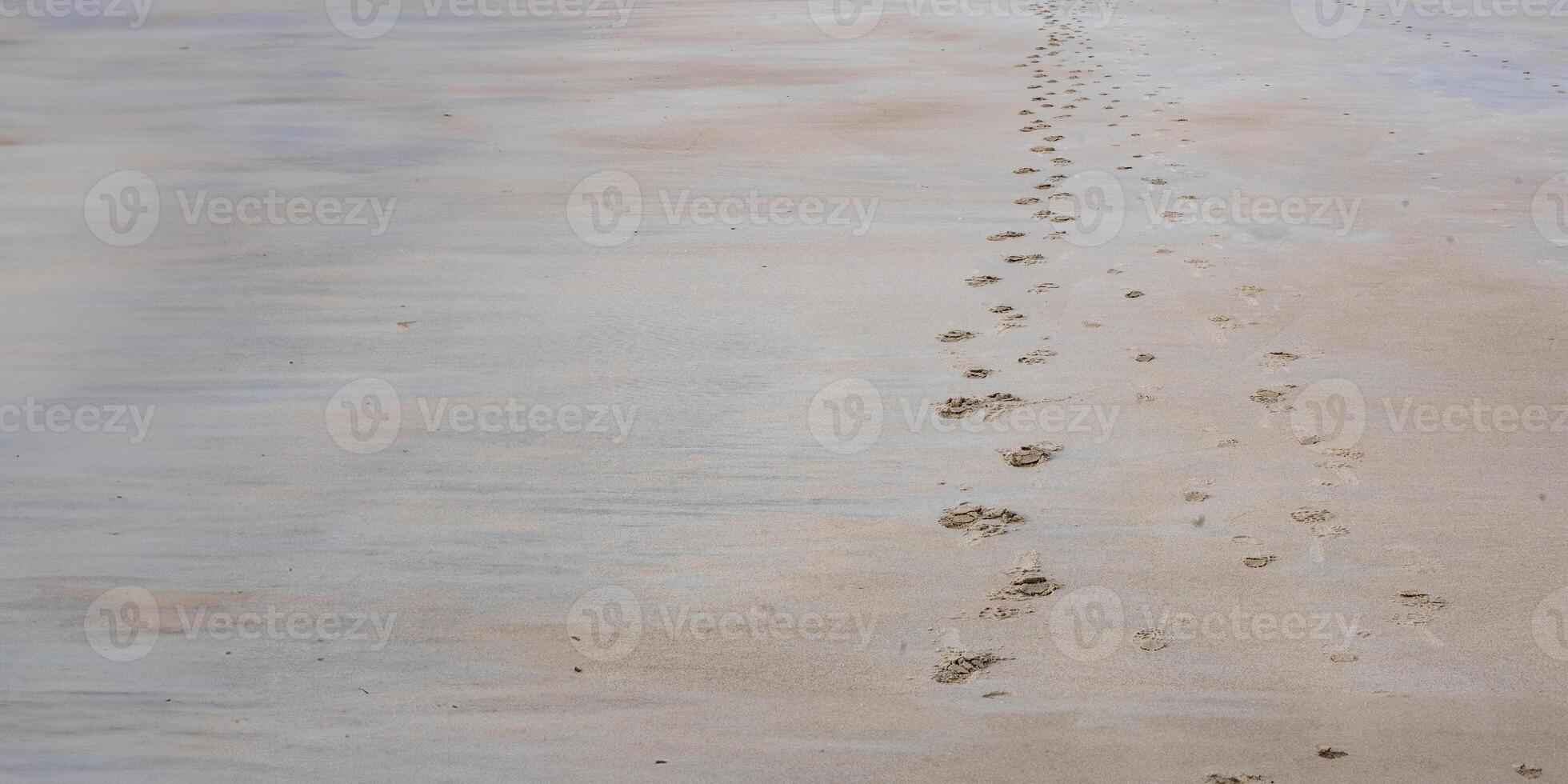 Fußabdrücke im Sand foto