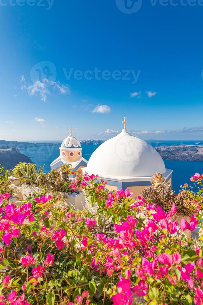 tolle Sonnenuntergang Landschaft mit berühmt Reise Ziel. Luxus Reise Sicht, Blumen Über Weiß die Architektur im Santorin, oia unter bunt Himmel. Fantastisch Ferien Banner zum Postkarte oder Hintergrund. foto