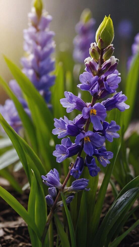 ai generiert Frühling Blumen auf Grün Rasen, überflutet mit hell Sonnenlicht, verschwommen Hintergrund. foto