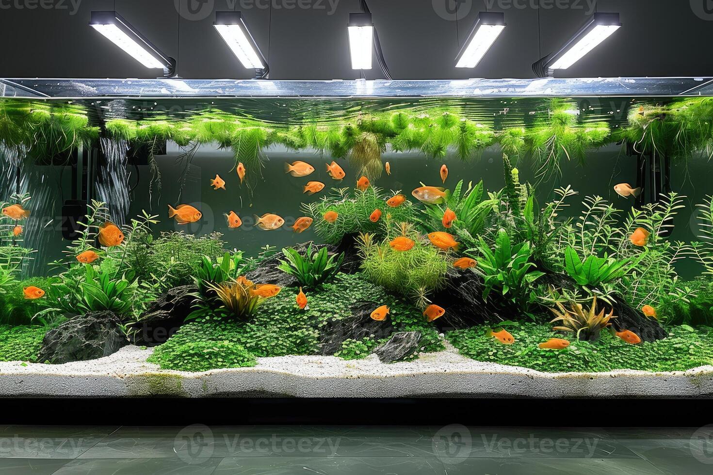 ai generiert Fisch Panzer Aquarium beim Zuhause Inspiration Ideen Fachmann Fotografie foto