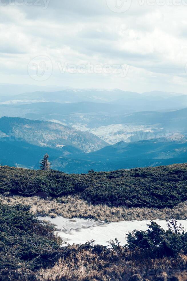 Grün Gras mit Blau Himmel und Schnee Berg foto